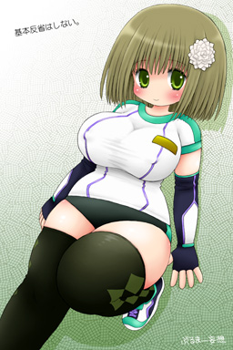みどりちゃん